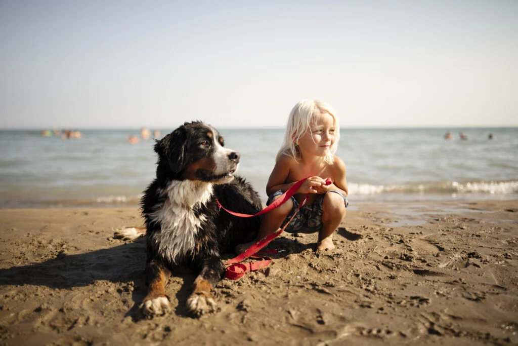 pet friendly