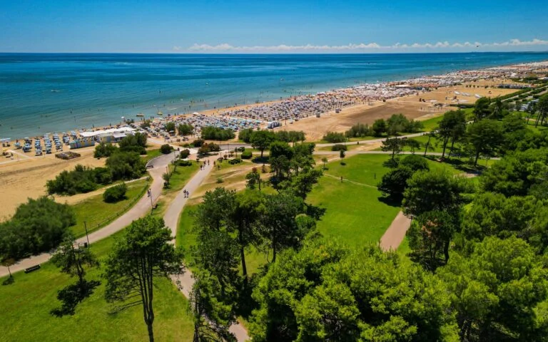 Foto aerea della pineta